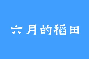 六月的稻田