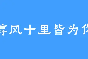 淳风十里皆为你