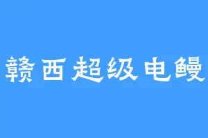 赣西超级电鳗