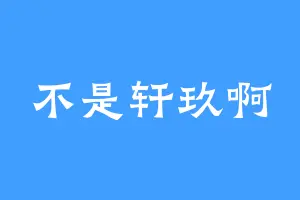 不是轩玖啊